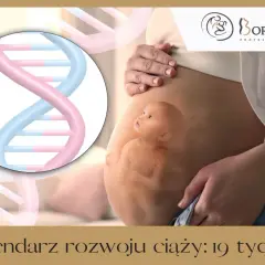 19 tydzień ciąży to już prawie półmetek! Obrazek pokazuje rozwijające się życie i DNA, symbolizujące początek.
