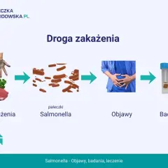Droga zakażenia salmonellą: surowe mięso, pałeczki Salmonella, objawy bólu brzucha, badanie kału. Ważne dla kobiet w ciąży.
