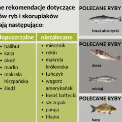 Szukasz informacji, jaka ryba dla niemowlaka jest najlepsza? Na liście "zalecane" znajdziesz dorsza, flądrę, szprota, sardynki.