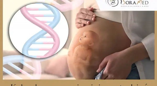 19 tydzień ciąży to już prawie półmetek! Obrazek pokazuje rozwijające się życie i DNA, symbolizujące początek.