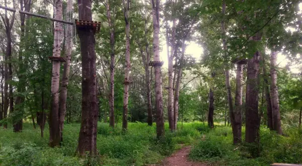 Park linowy Stary Sącz - poznaj trasy i emocje w Lemurze