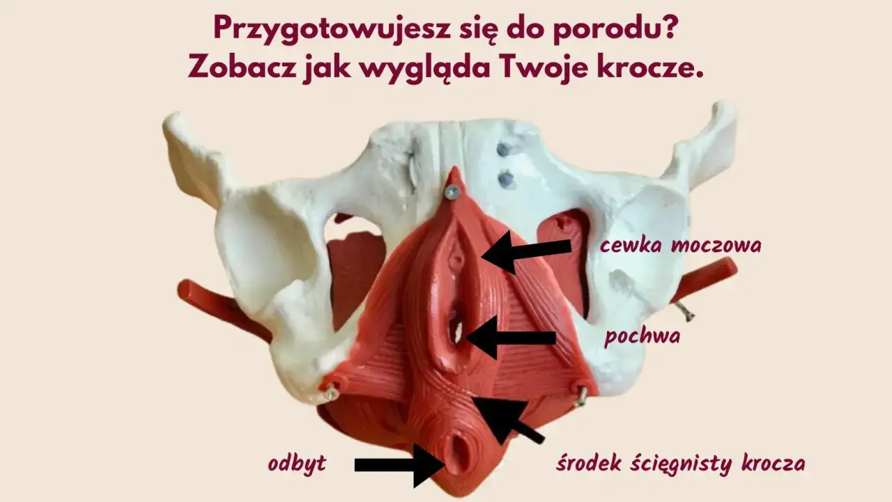Krocze podczas porodu naturalnego - jak je chronić?