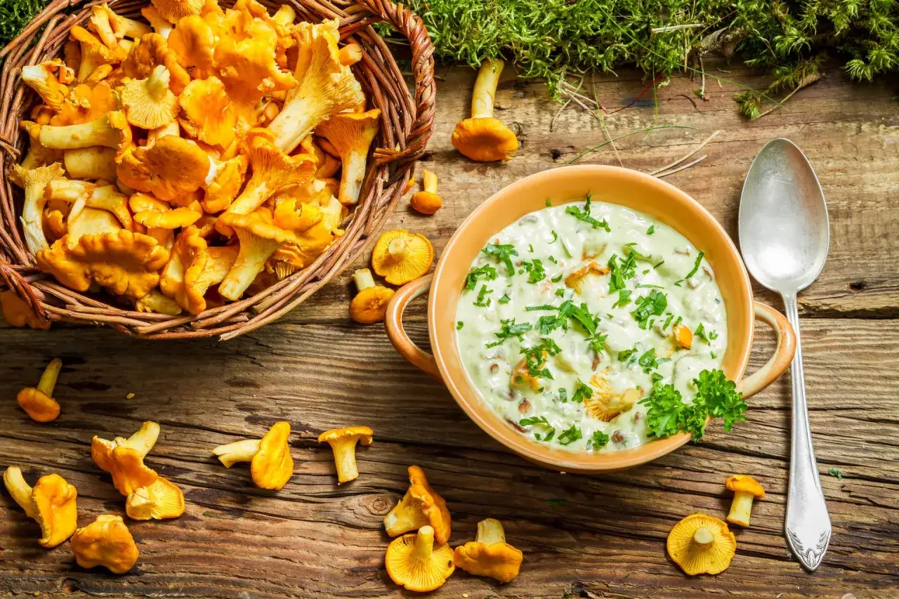 Kosz pełen kurzych grzbietów i miska kremowego sosu grzybowego. Czy w ciąży można jeść grzyby? Tak, jeśli są odpowiednio przygotowane.