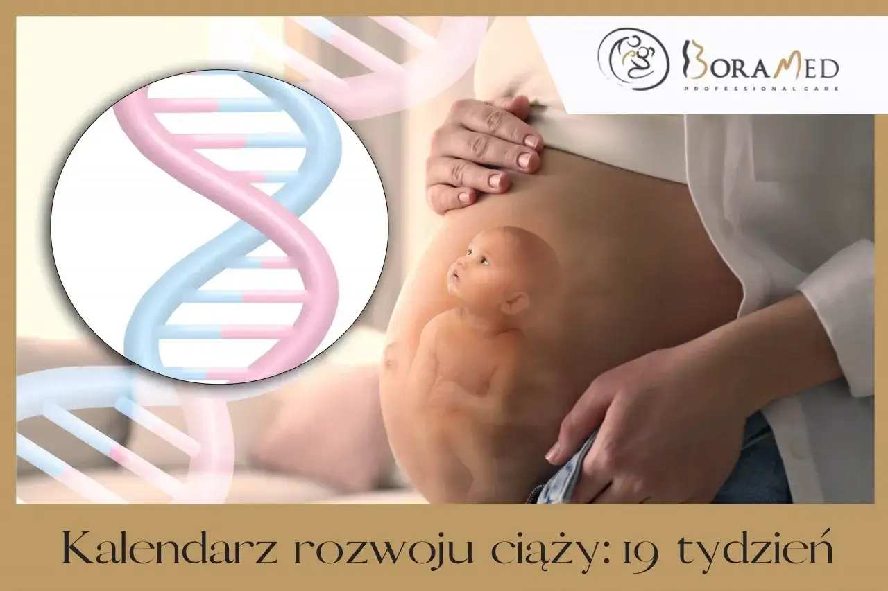 19 tydzień ciąży to już prawie połowa drogi do spotkania z maleństwem. Na obrazku widać brzuch ciężarnej, DNA i dziecko.