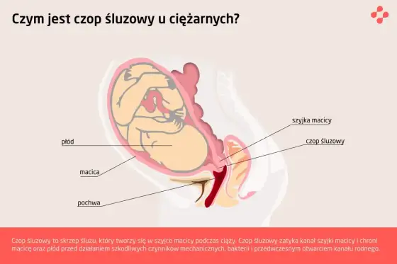 Czop śluzowy czy wody płodowe? Jak rozpoznać różnicę